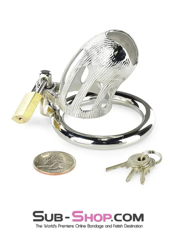 0399M      Itty Bitty Little Dicky Steel Locking Male Chastity Device with Cock Ring