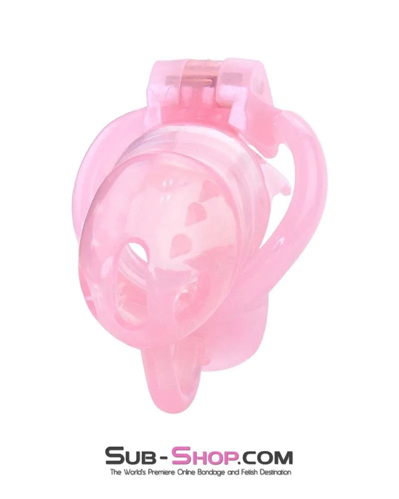 1391AR      Spiked Sissy Cock Blocker Silicone Locking Male Chastity with Ball Divider