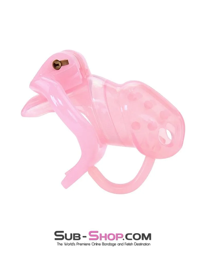 1391AR      Spiked Sissy Cock Blocker Silicone Locking Male Chastity with Ball Divider