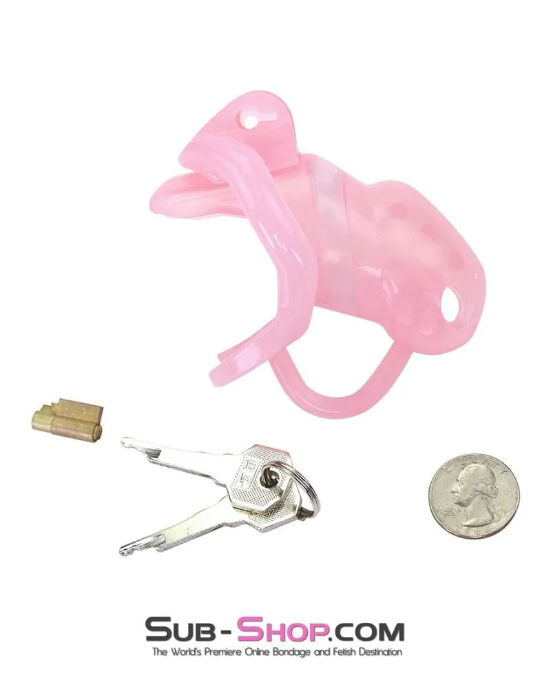 1391AR      Spiked Sissy Cock Blocker Silicone Locking Male Chastity with Ball Divider