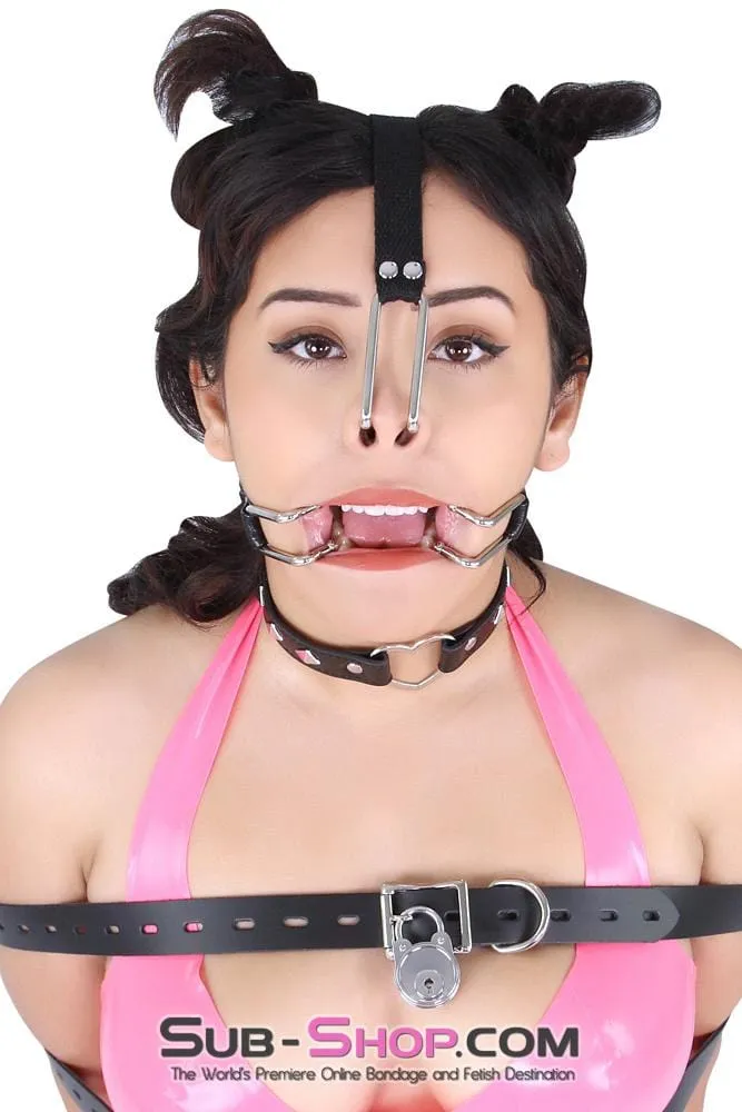 3306MQ      Nose Hook on Adjustable Nylon Strap with Collar Loop