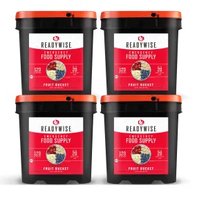 480 Serving Freeze Dried Fruit Bundle