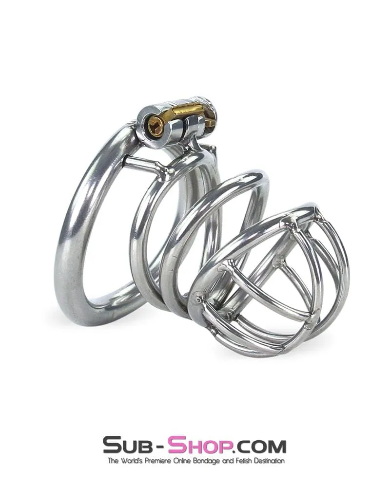 6982RS-SIS      The Observatory High Security Tumbler Style Locking Steel Male Chastity Device
