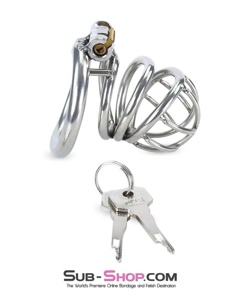 6982RS-SIS      The Observatory High Security Tumbler Style Locking Steel Male Chastity Device