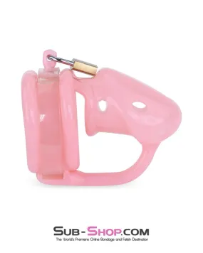 9794M      Sissy Pink Birdlocked Style Spiked Soft Silicone Locking Male Chastity