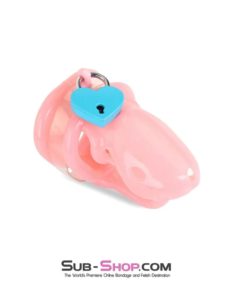 9794M      Sissy Pink Birdlocked Style Spiked Soft Silicone Locking Male Chastity