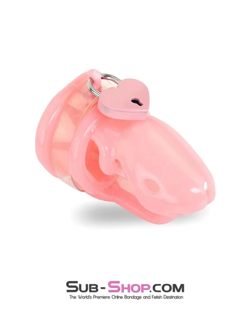 9794M      Sissy Pink Birdlocked Style Spiked Soft Silicone Locking Male Chastity