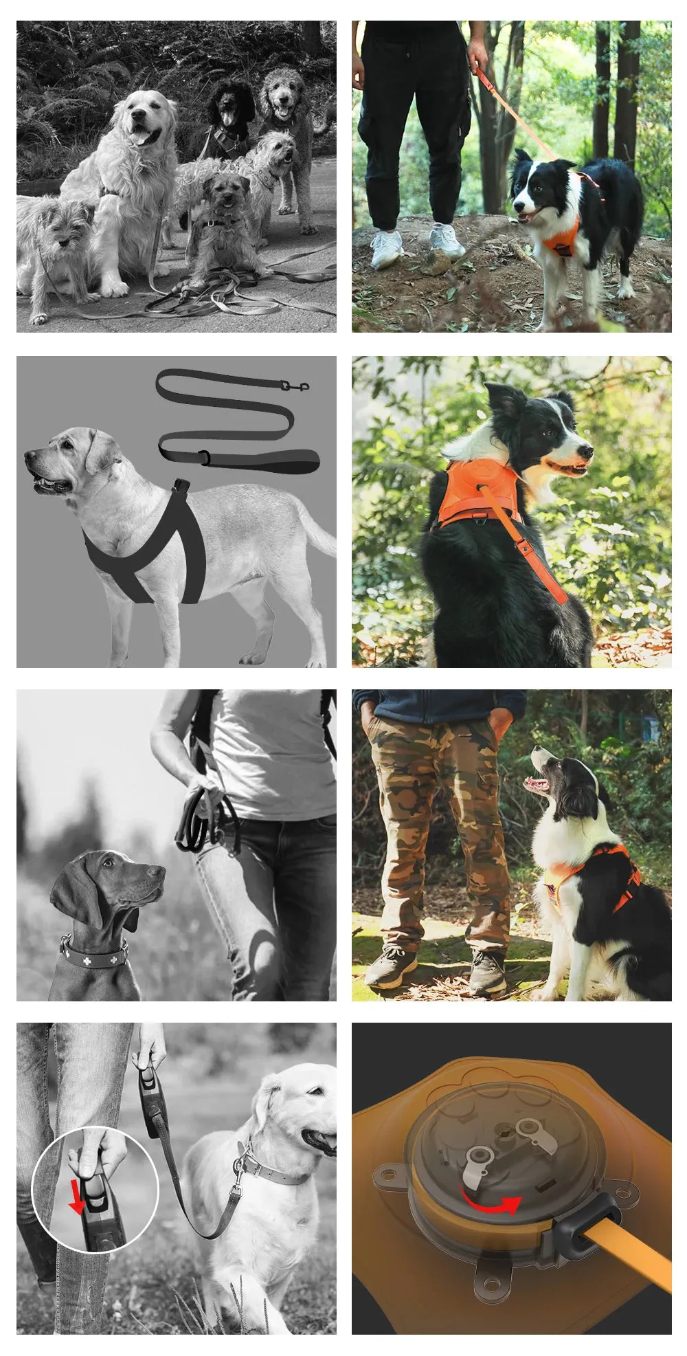 Best Dog Harness with Retractable Leash 2-in-1 No Pull Puppy Harness