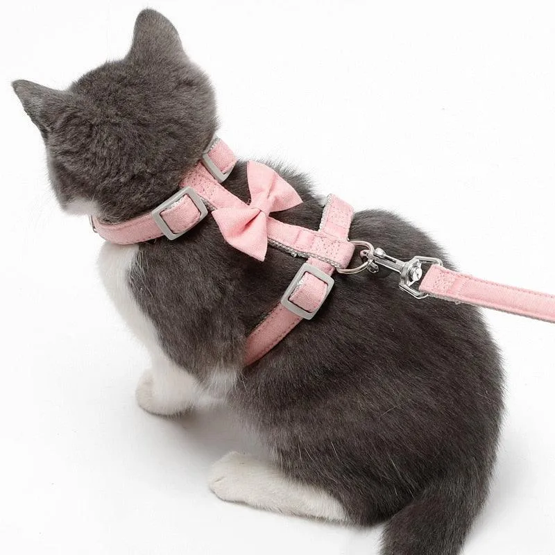 Big Bow Adjustable Cat Harness
