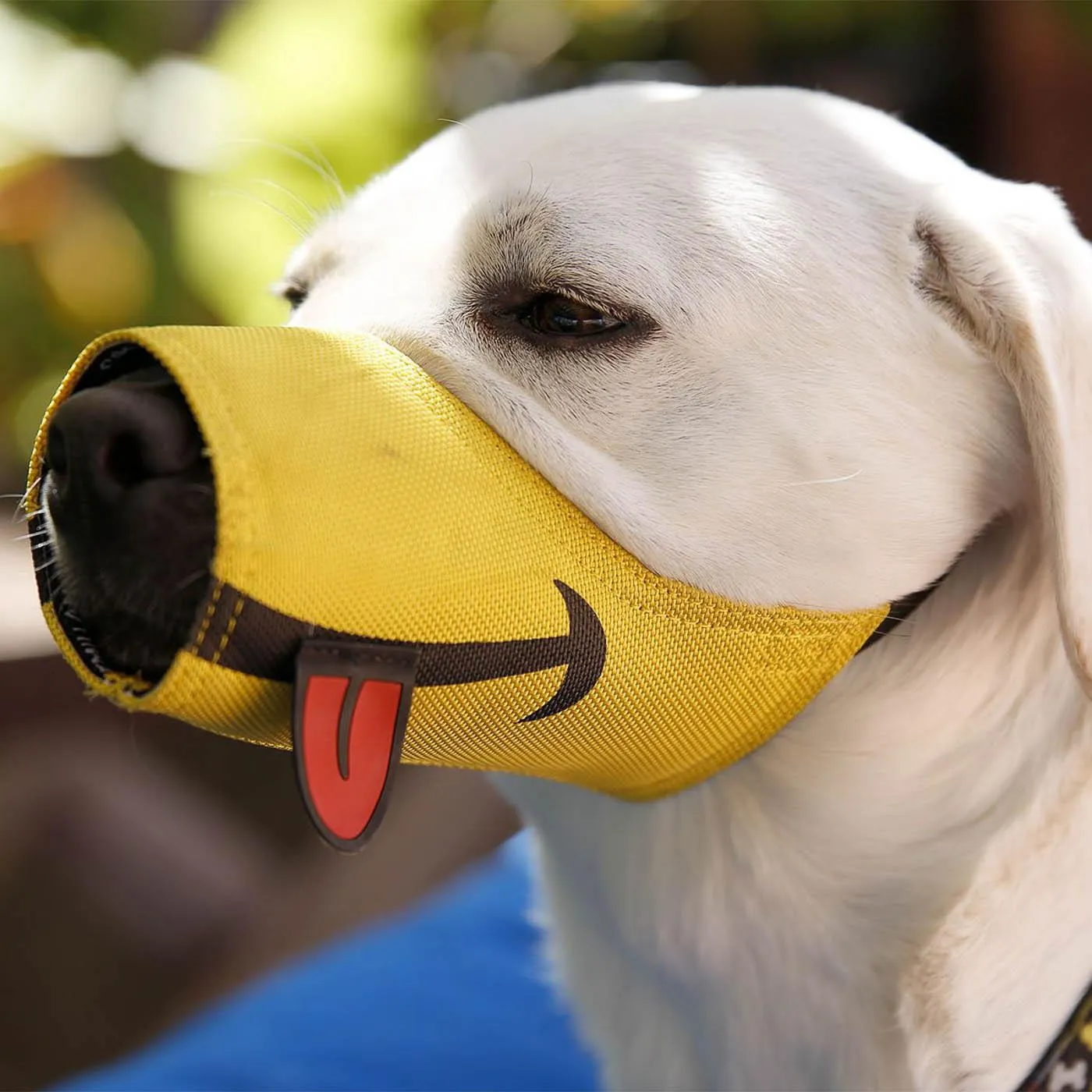 Cesar Millan™ Funny Muzzle