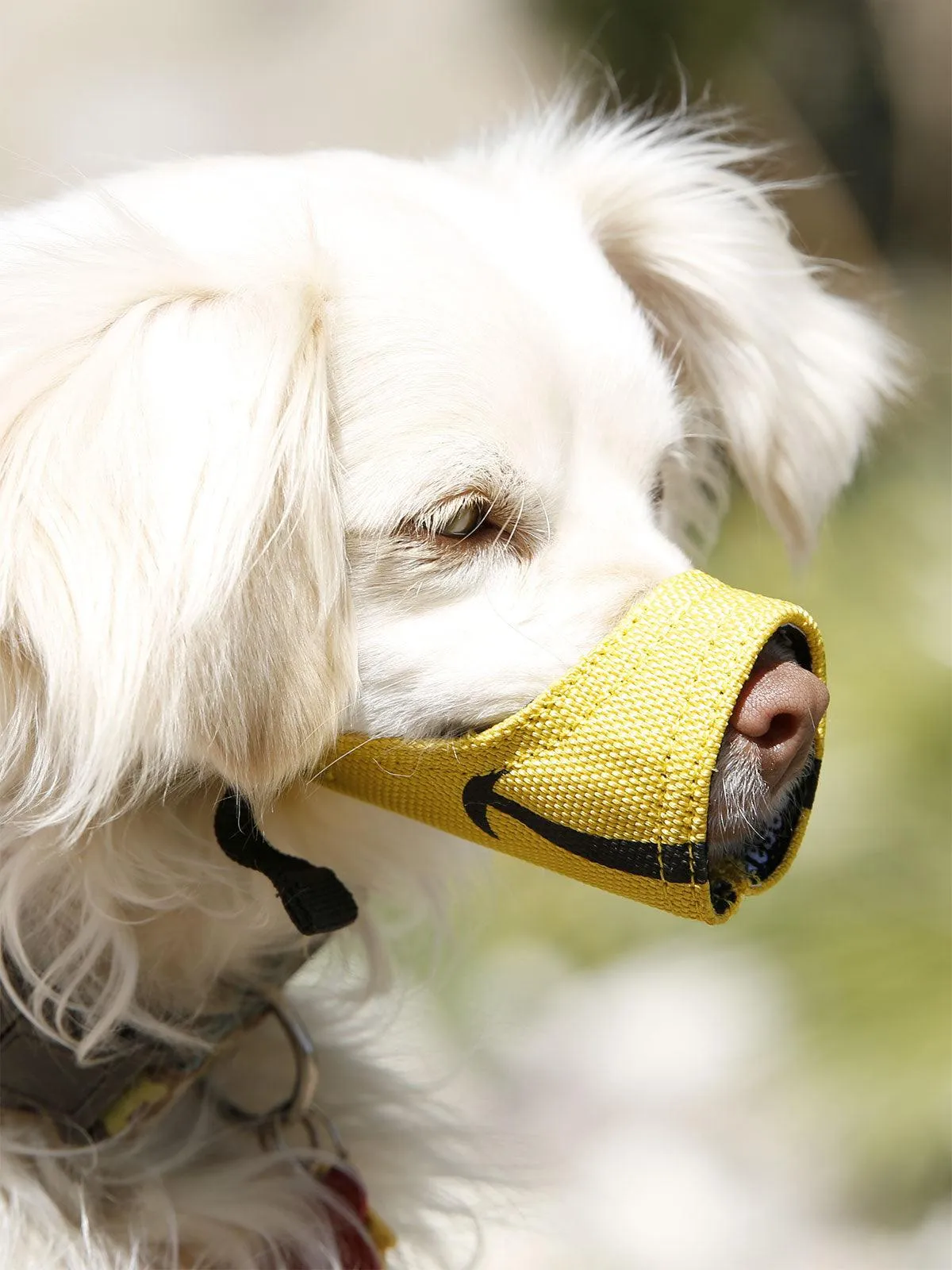 Cesar Millan™ Funny Muzzle