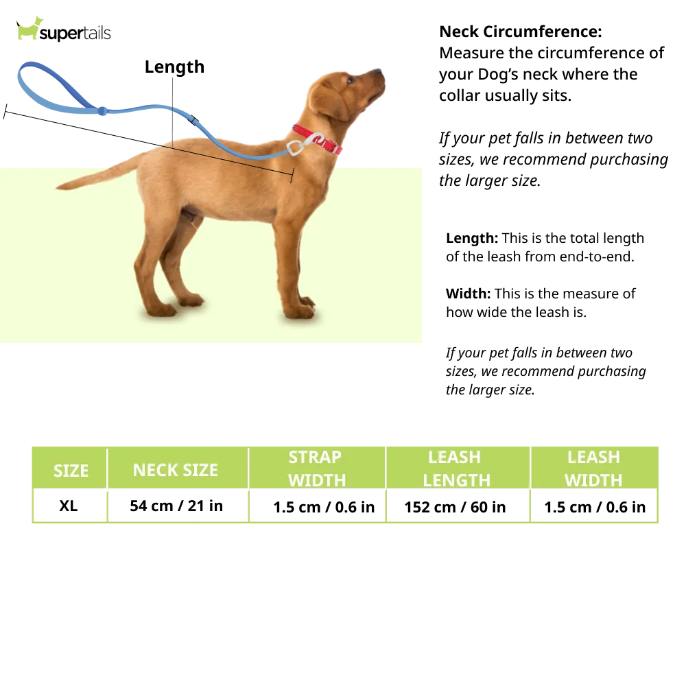 Chullbull Adjustable and Durable Chrome Plated Chain Leash and Choke Collar for Dogs