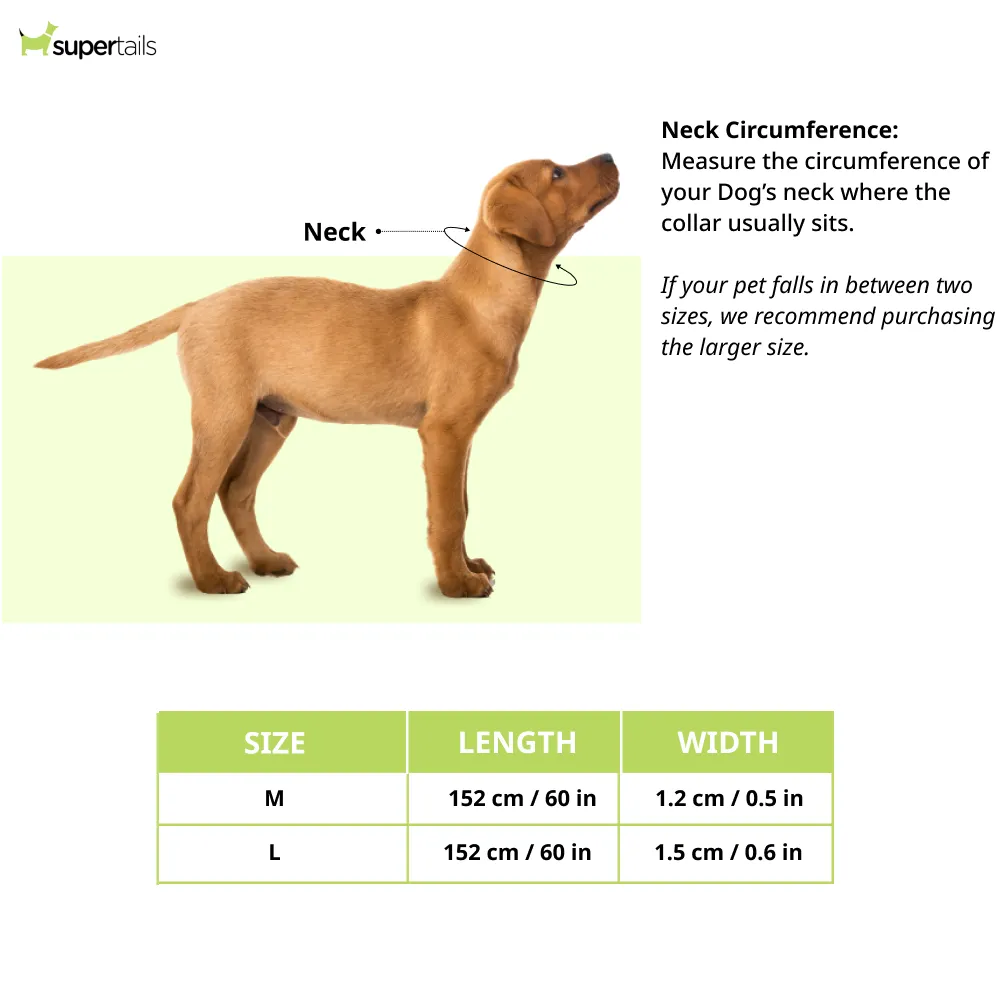 Chullbull Behavioral Training Choke Chain for Dogs (Silver)