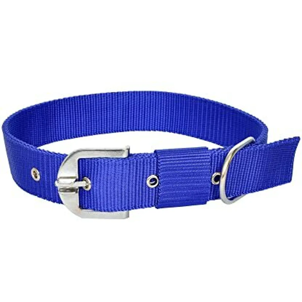 Chullbull Nylon Collar and Heavy Chain Leash for Dogs (Blue)