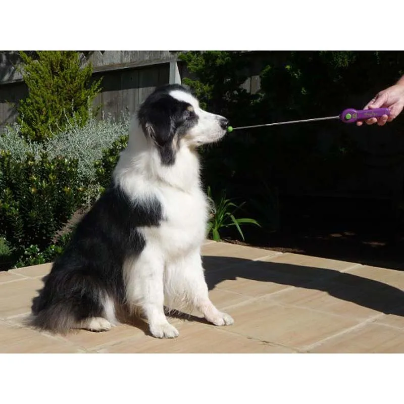 Clik Stik Retractable Target Stick with Clicker