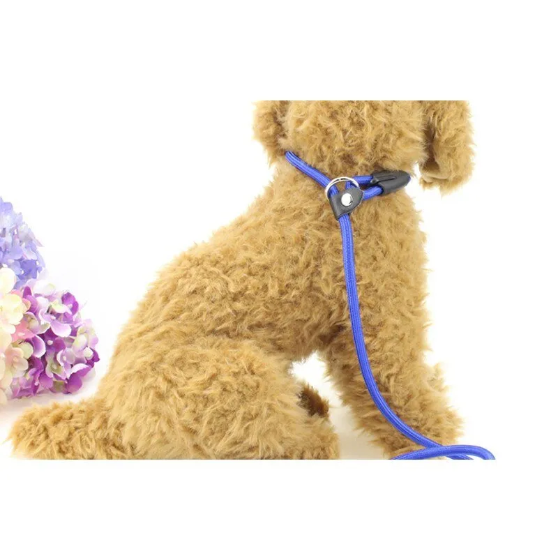 COOLFIELD Nylon Dog Leash - Available in S/M/L Sizes for All Breeds!