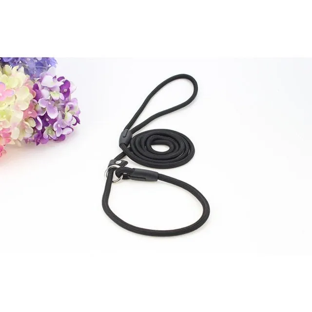 COOLFIELD Nylon Dog Leash - Available in S/M/L Sizes for All Breeds!