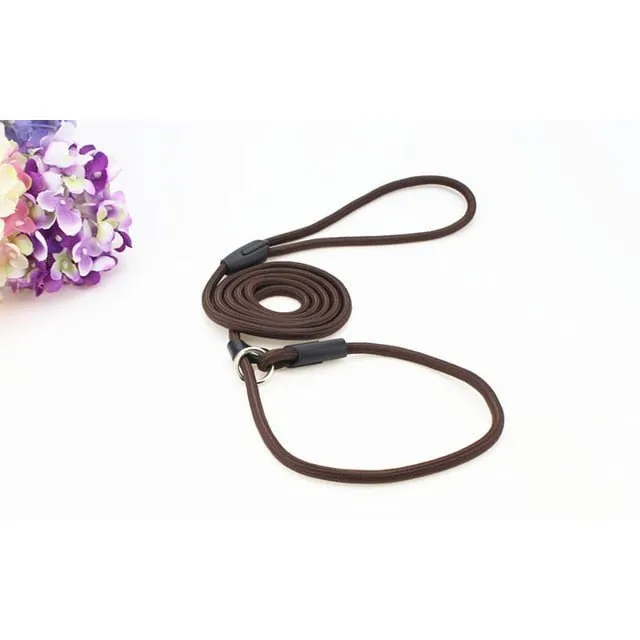 COOLFIELD Nylon Dog Leash - Available in S/M/L Sizes for All Breeds!