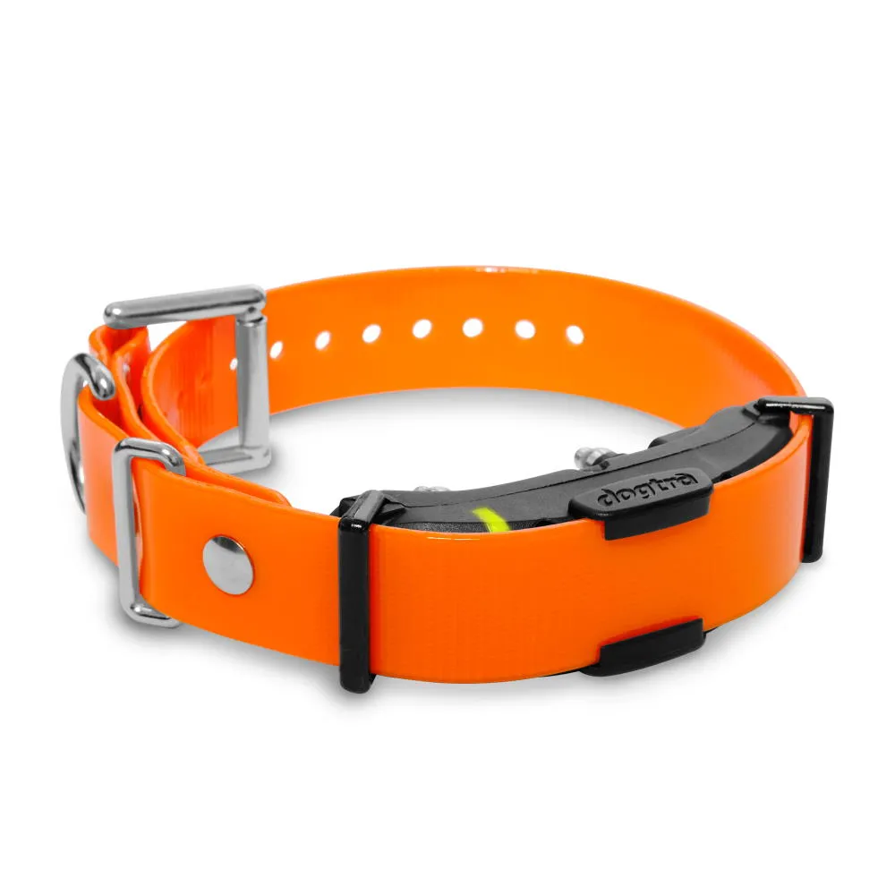 Dogtra ARC - Additional receiver