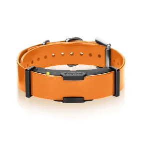 Dogtra ARC - Additional receiver