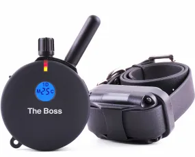 Educator ET-800 Big Dog 1 Mile E-Collar Remote Dog Training Collar With Vibration and Tapping Sensation