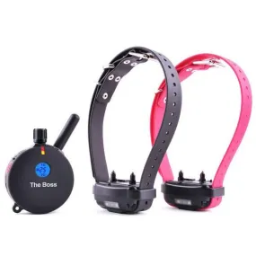 Educator ET-802 2 Dog "The Boss" Remote Training Collar