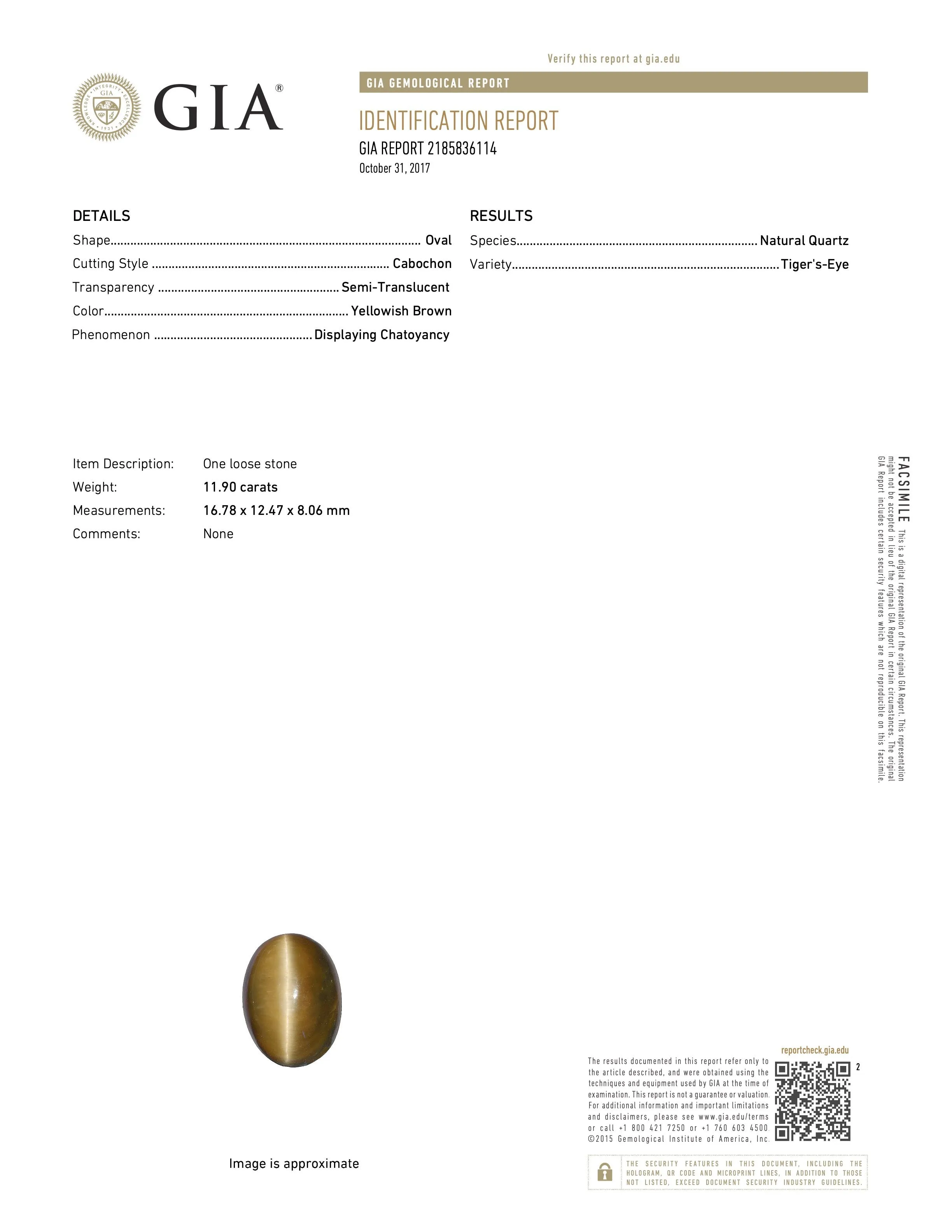 Fly Pin in 18K Gold, French