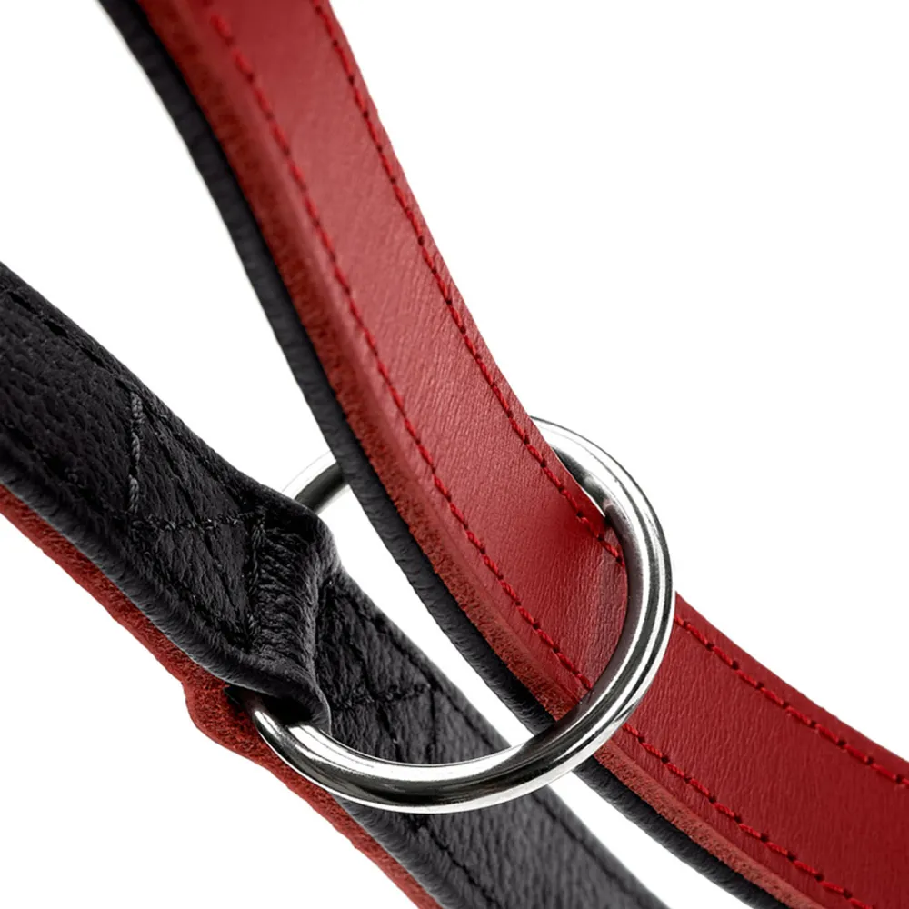 Hunter Love Training Leash for Dogs (Red)