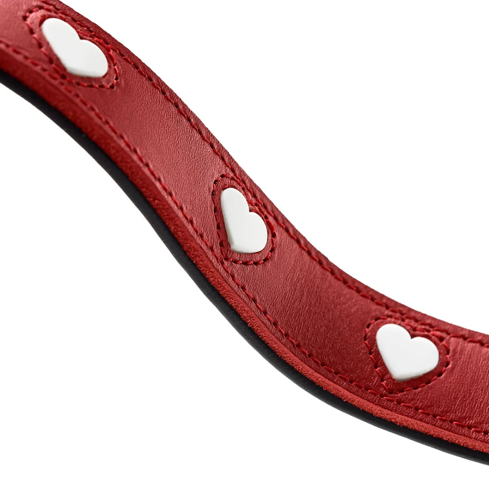 Hunter Love Training Leash for Dogs (Red)