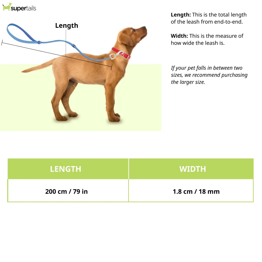Hunter Swiss Training Leash for Dogs (Brown)