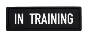 In Training Patch (4.5" x 1.5")
