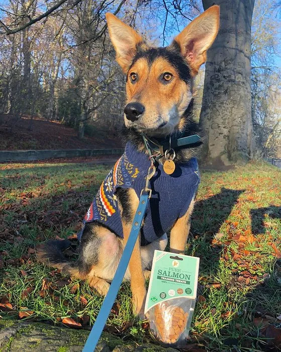 JR PET PURE SALMON TRAINING TREATS 85G - BEST BEFORE OCT 2024