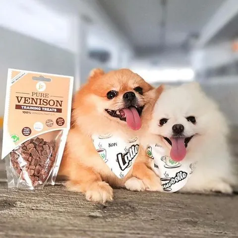 JR PET PURE VENISON TRAINING TREATS 85G - BEST BEFORE SEP 2024