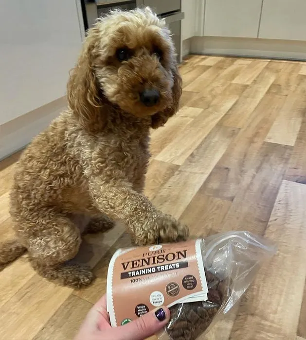 JR PET PURE VENISON TRAINING TREATS 85G - BEST BEFORE SEP 2024