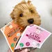 JR PETS PURE CHICKEN TRAINING TREATS 85G - BEST BEFORE OCT 2024