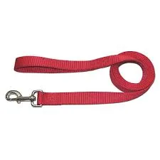 Leather Brothers One Ply Nylon Lead 3/8" x 6 ft. Red (3/8" x 6', Red)