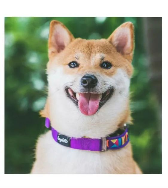 Loyal.D Lisu Tribal Martingale Dog Collar (3 Colors)