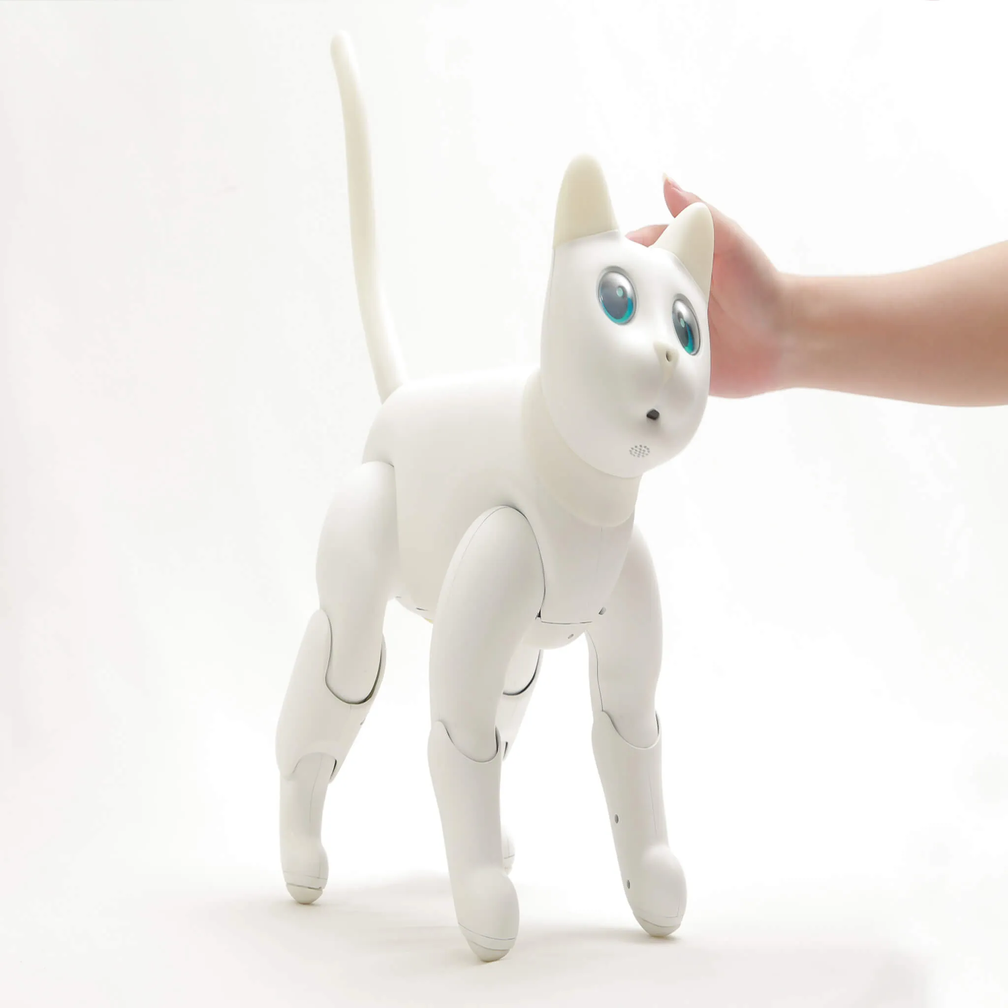 MarsCat: A Bionic Pet Cat, Home Robot Cats