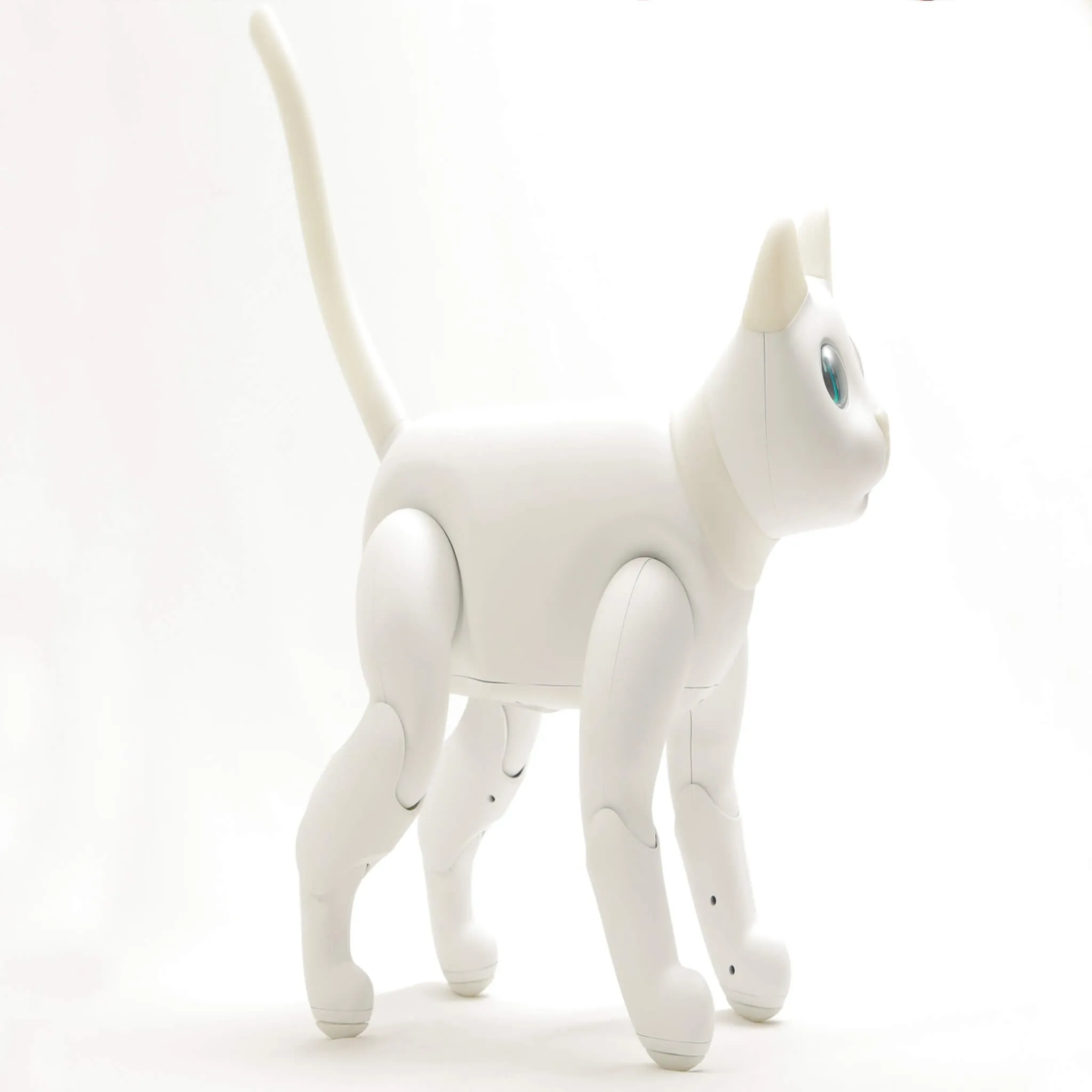MarsCat: A Bionic Pet Cat, Home Robot Cats