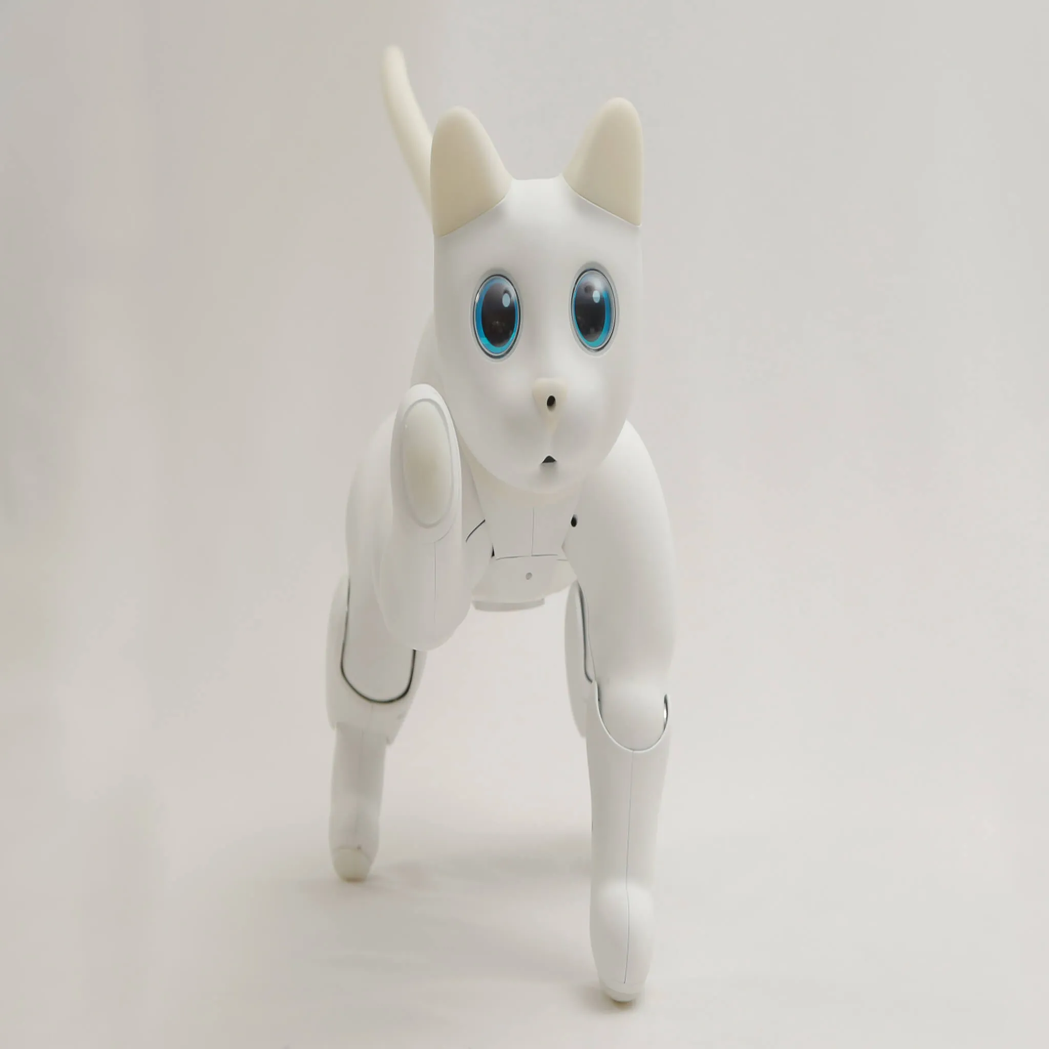 MarsCat: A Bionic Pet Cat, Home Robot Cats
