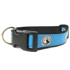 MN Accessory - Dog Collars
