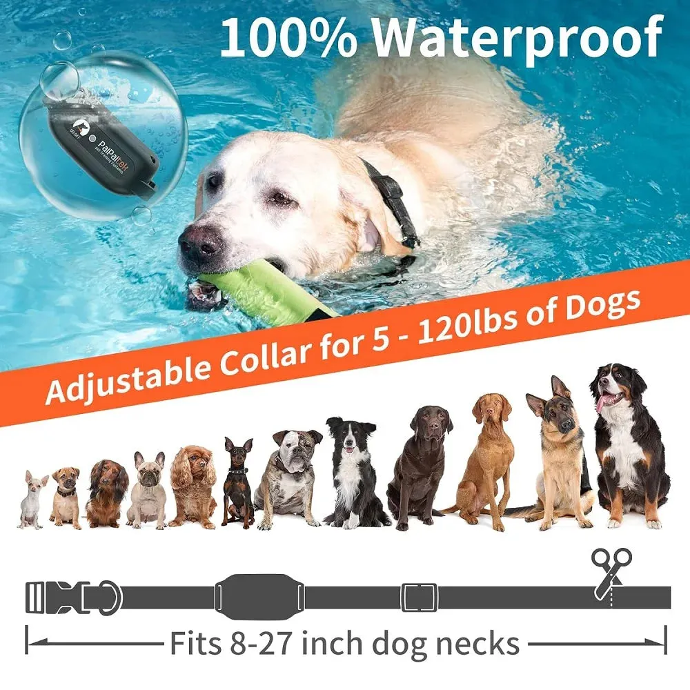 PaiPaitek  Dog Training Collar