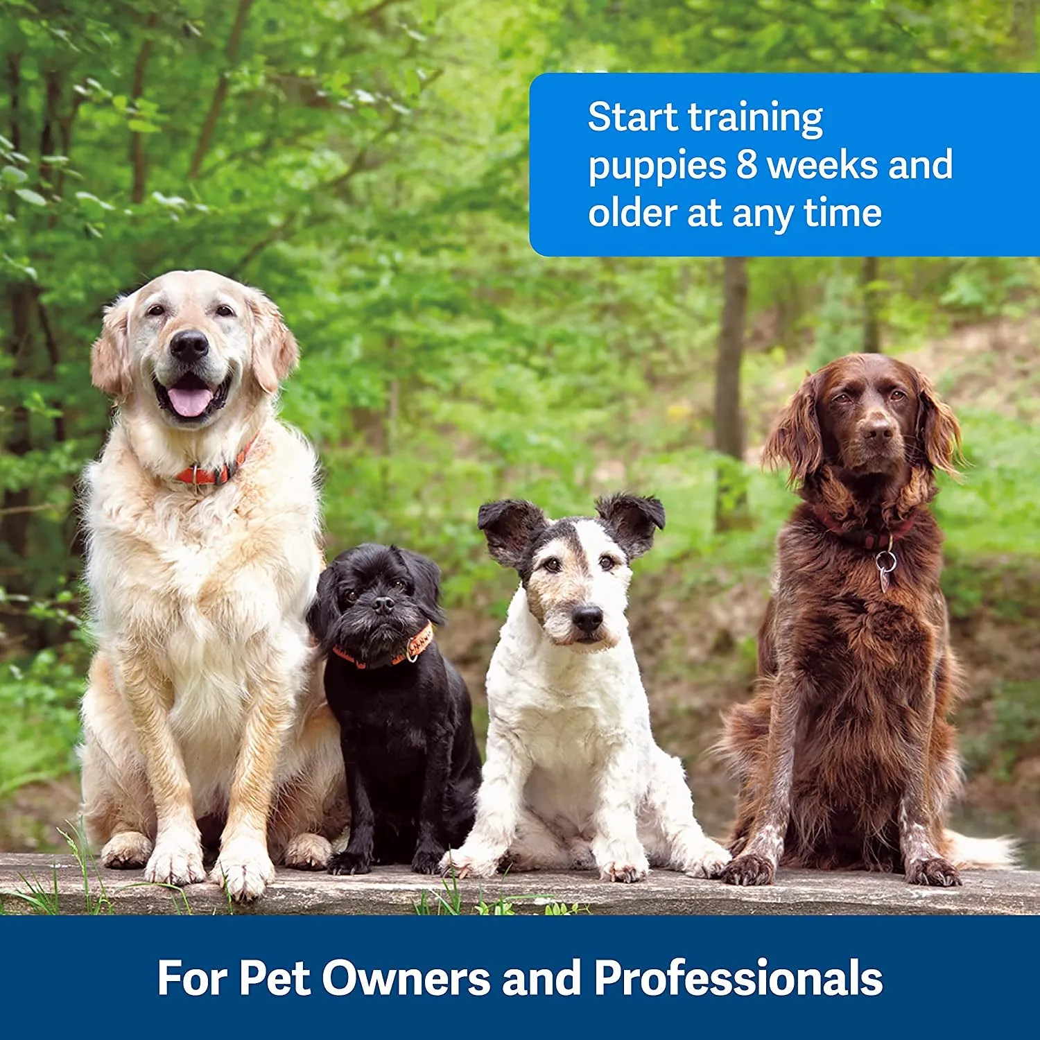 Petsafe Clik-R Dog Training Clicker - Positive Behavior Reinforcer for Pets - All Ages, Puppy and Adult Dogs - Use to Reward and Train - Training Guide Included - Purple