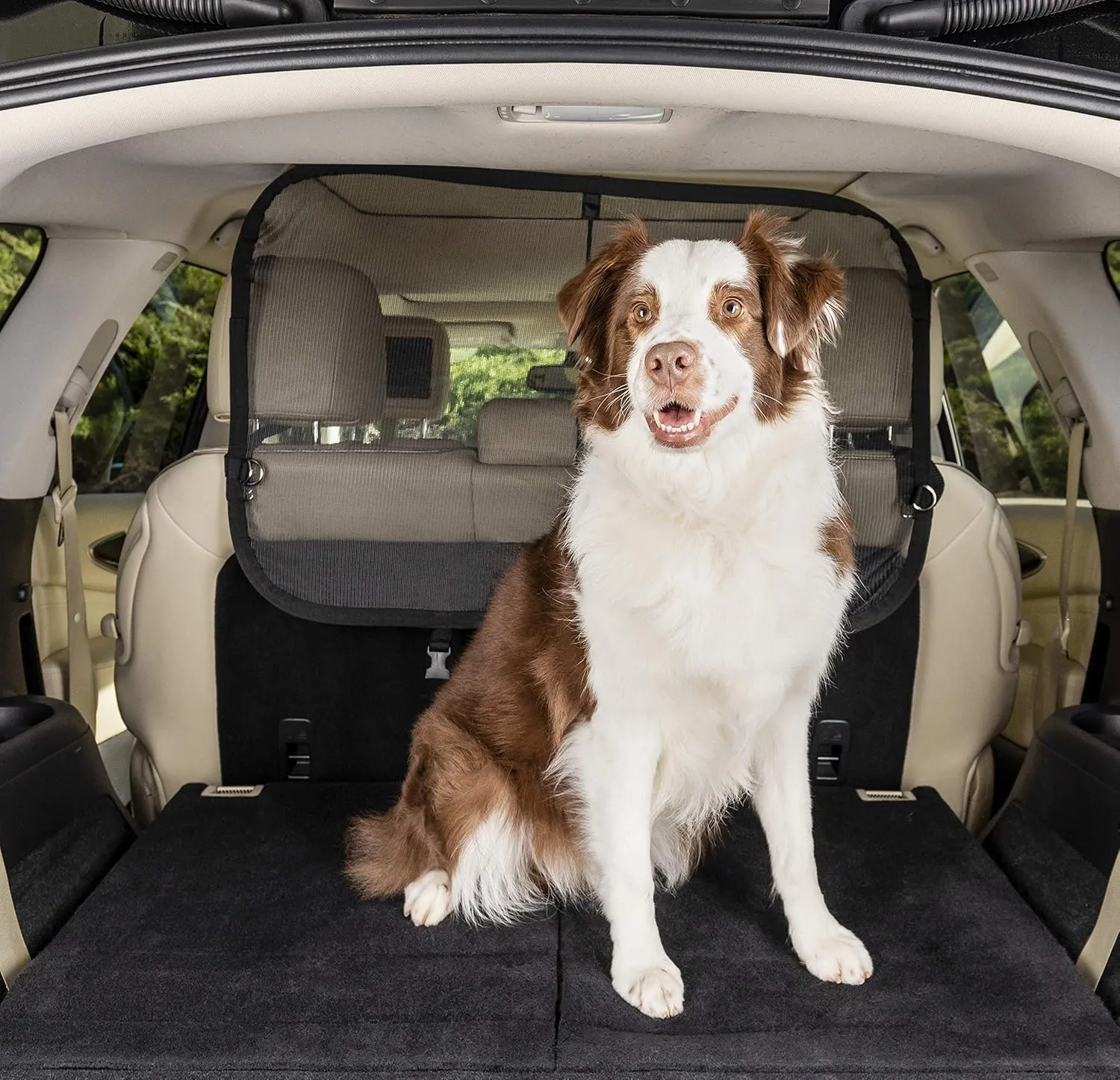 PetSafe Happy Ride Cargo Area Dog Barrier