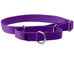 PetSafe Nylon Martingale Dog Collar, Large
