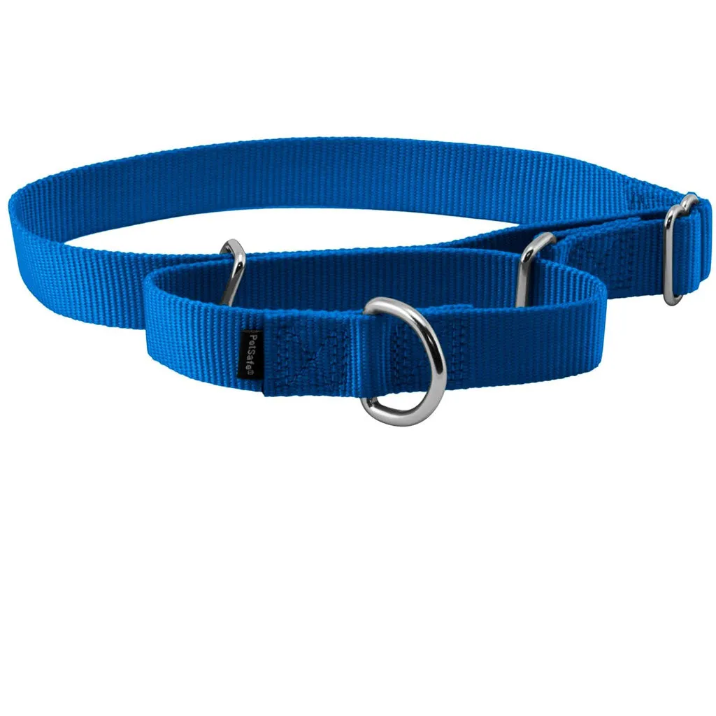 PetSafe Nylon Martingale Dog Collar, Large