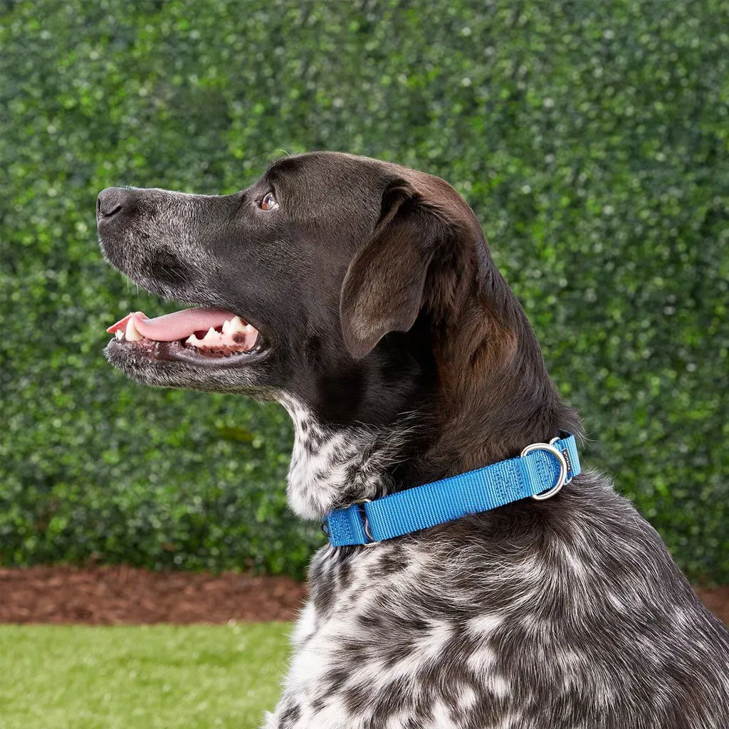 PetSafe Nylon Martingale Dog Collar, Large