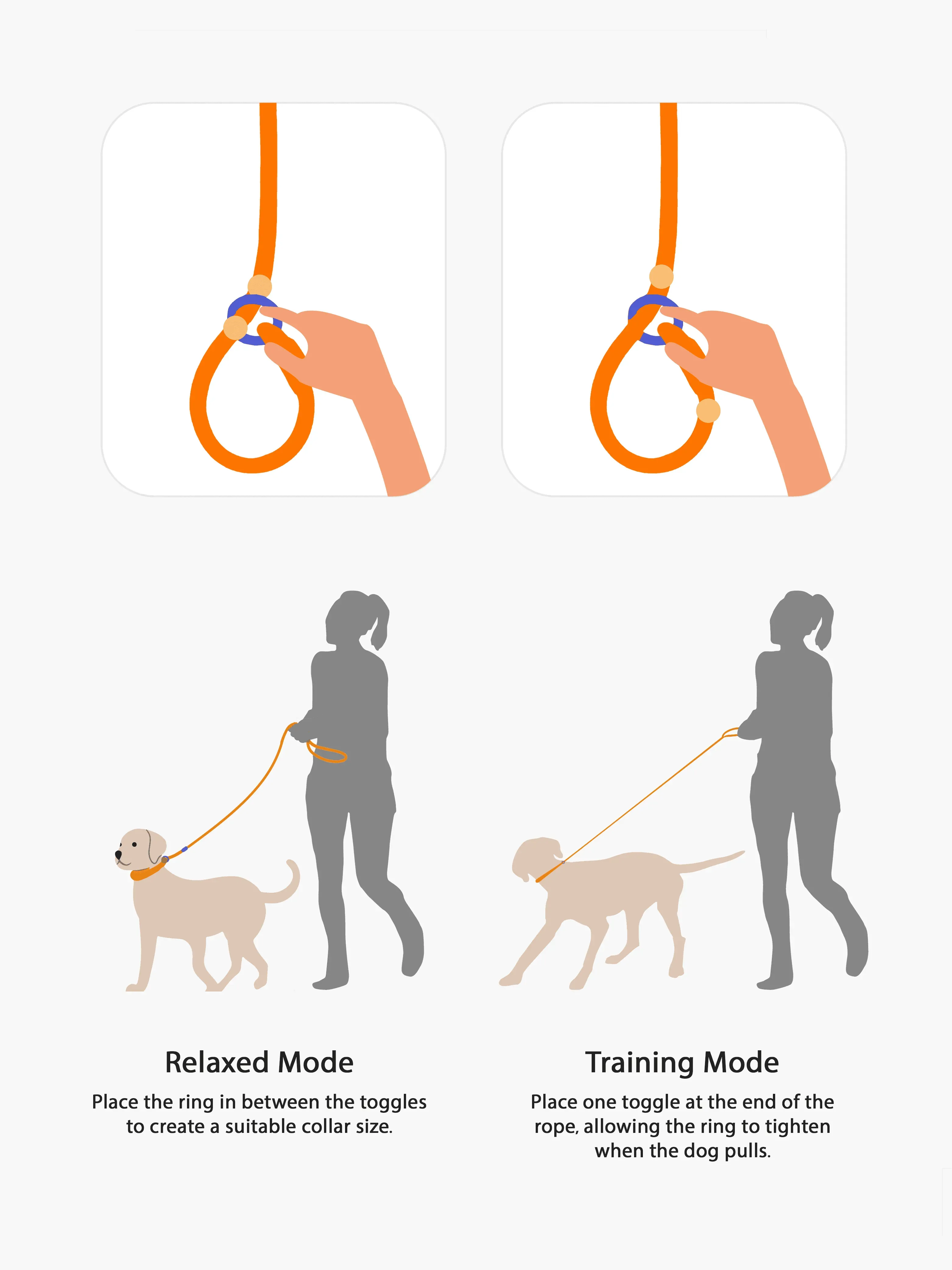 Premium Slip Leash