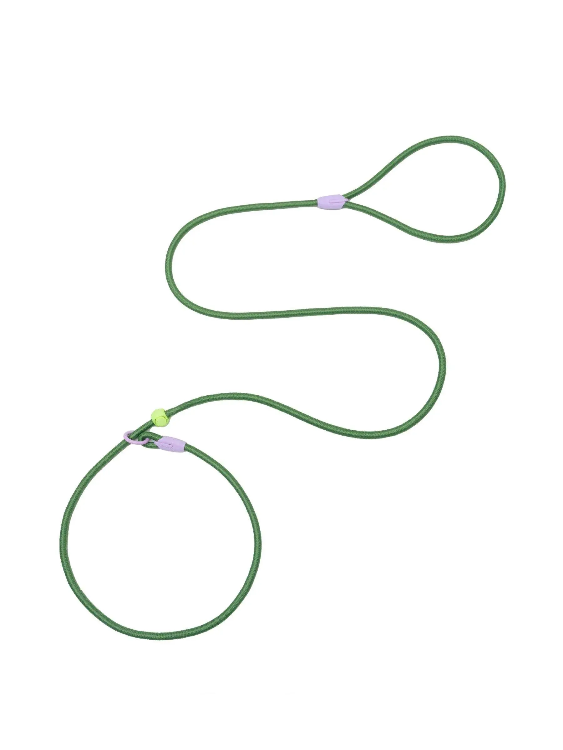 Premium Slip Leash