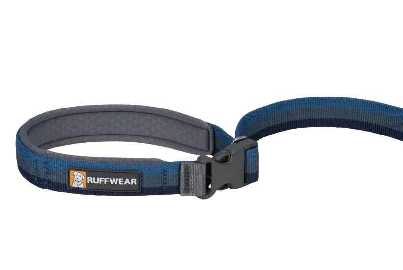 Ruffwear Roamer™ Bungee Dog Leash
